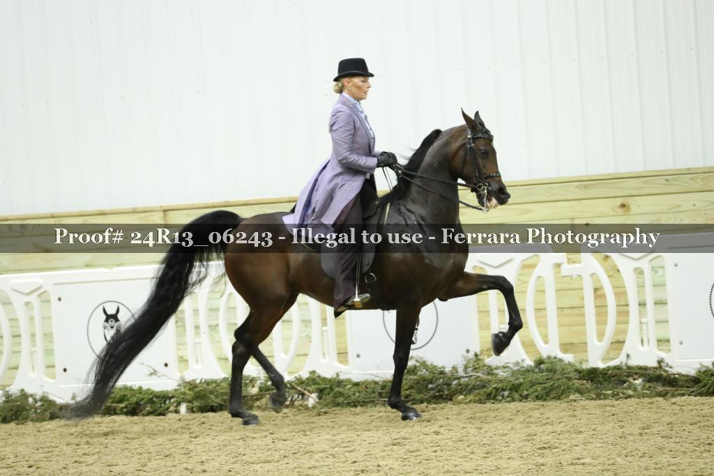 Proof Number 24R13_06243
