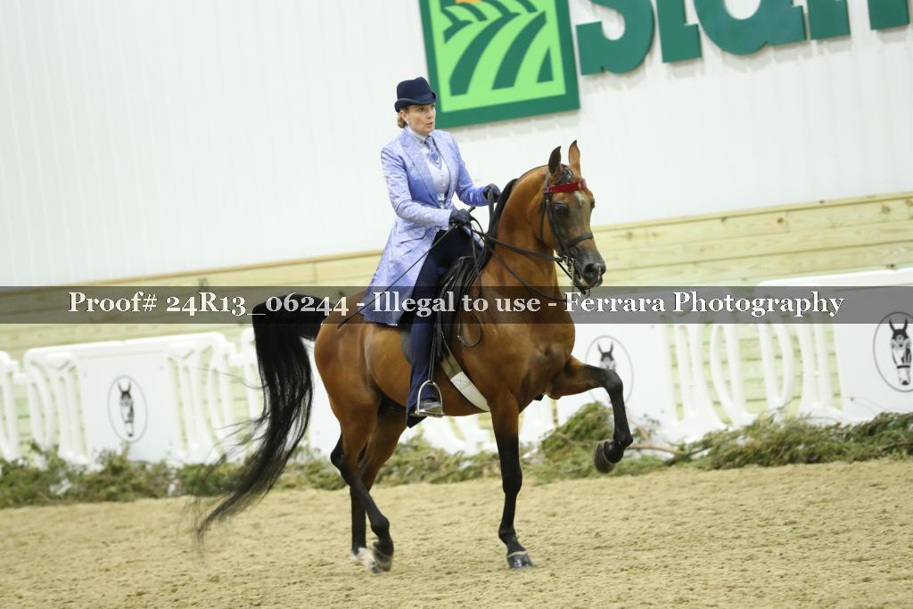 Proof Number 24R13_06244