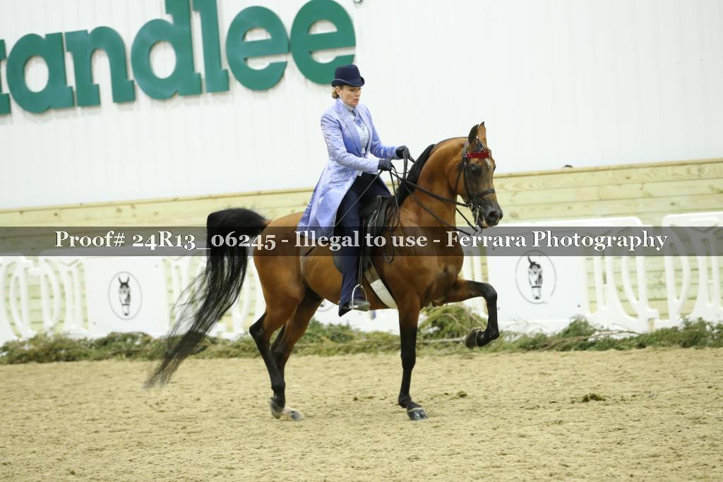 Proof Number 24R13_06245