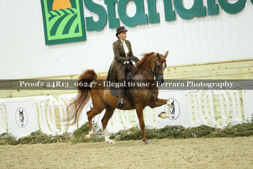 Proof Number 24R13_06247