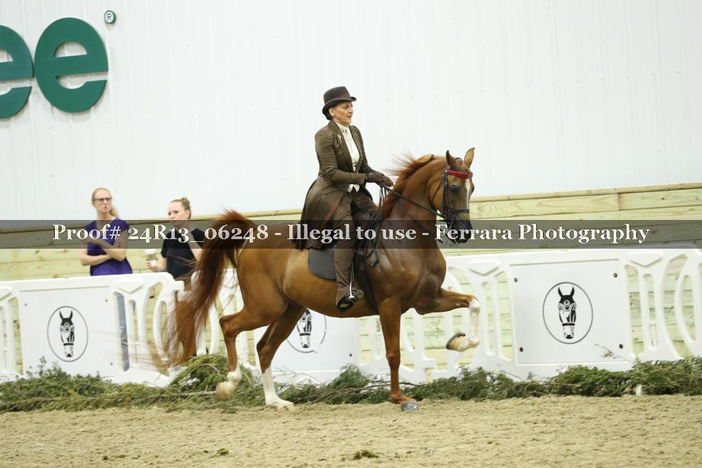 Proof Number 24R13_06248