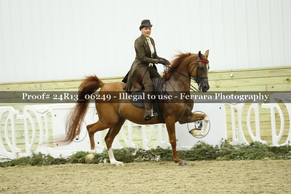 Proof Number 24R13_06249