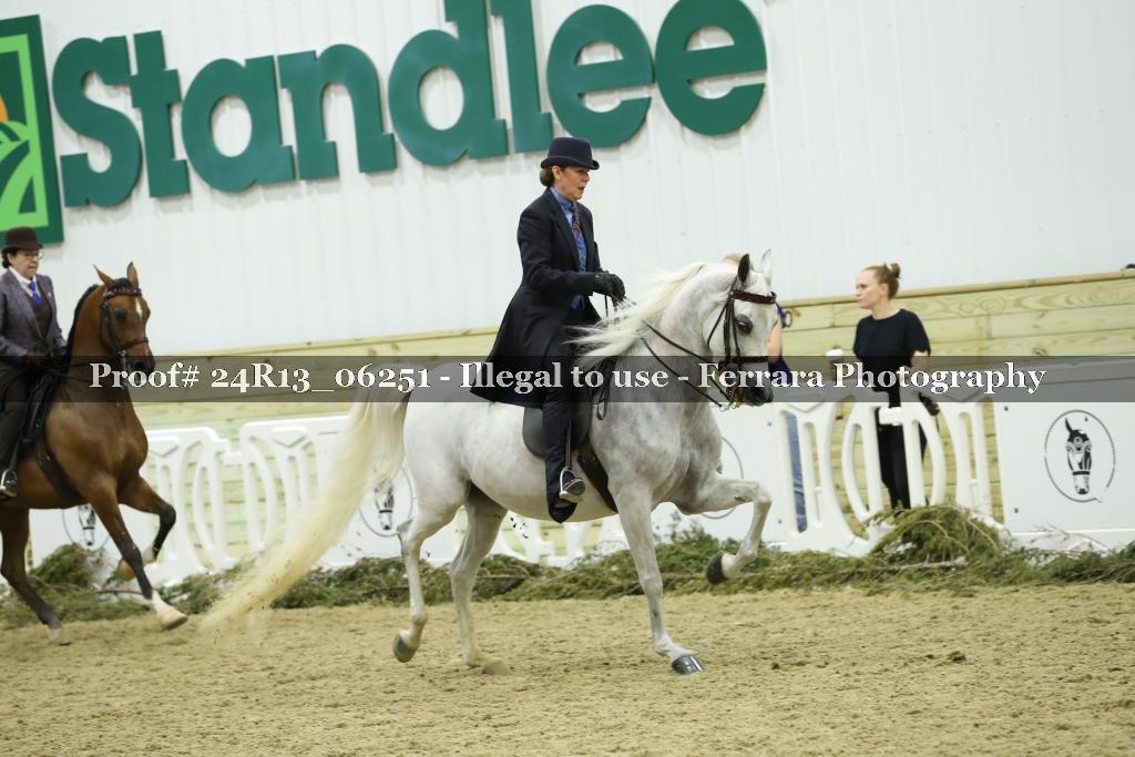 Proof Number 24R13_06251