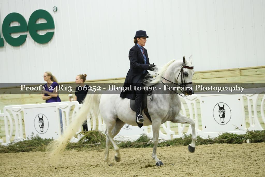 Proof Number 24R13_06252