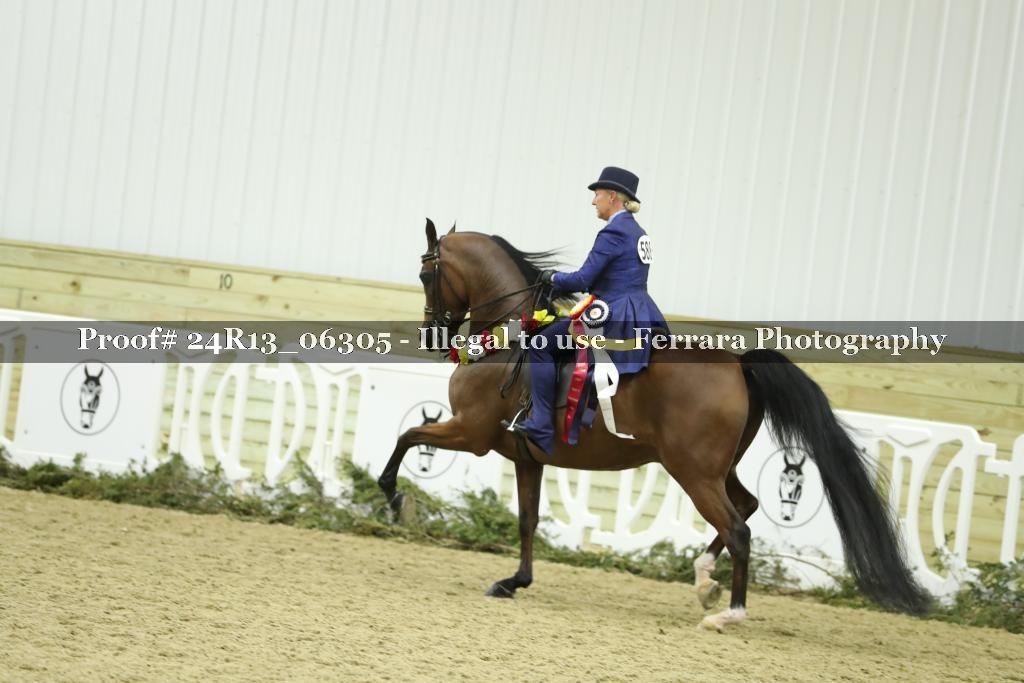 Proof Number 24R13_06305