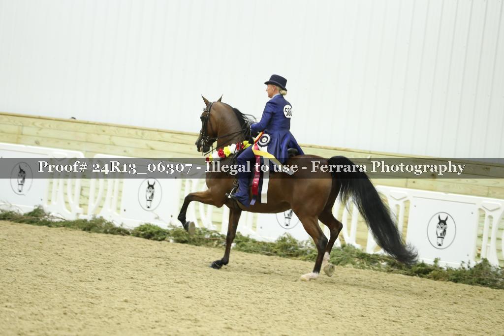 Proof Number 24R13_06307