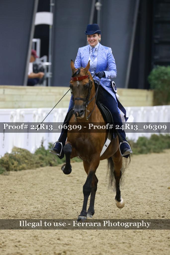Proof Number 24R13_06309