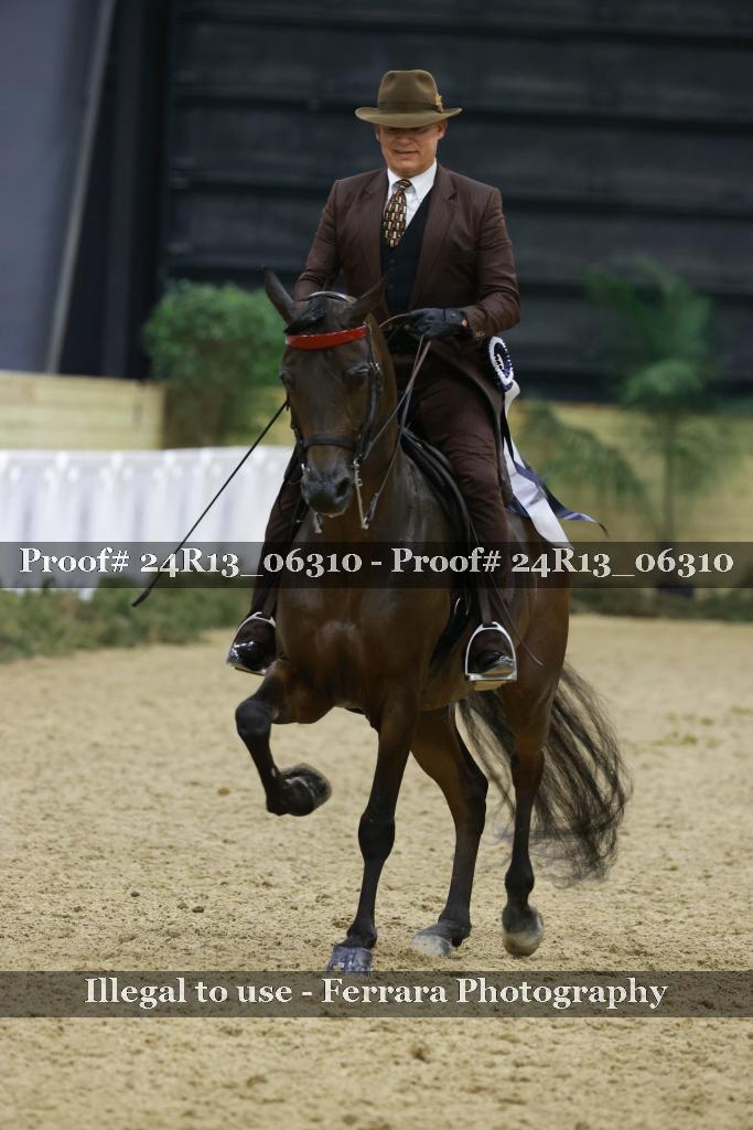 Proof Number 24R13_06310