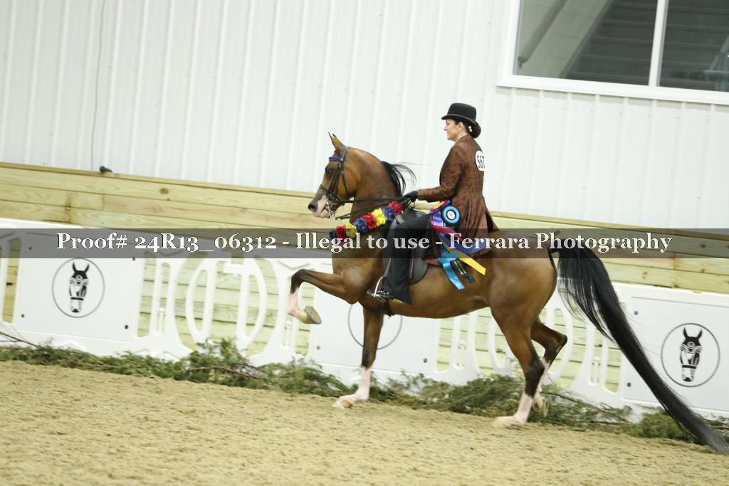 Proof Number 24R13_06312