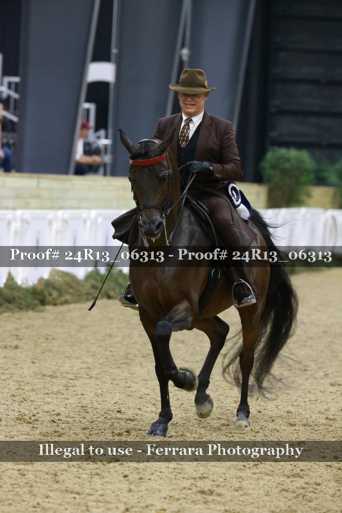 Proof Number 24R13_06313