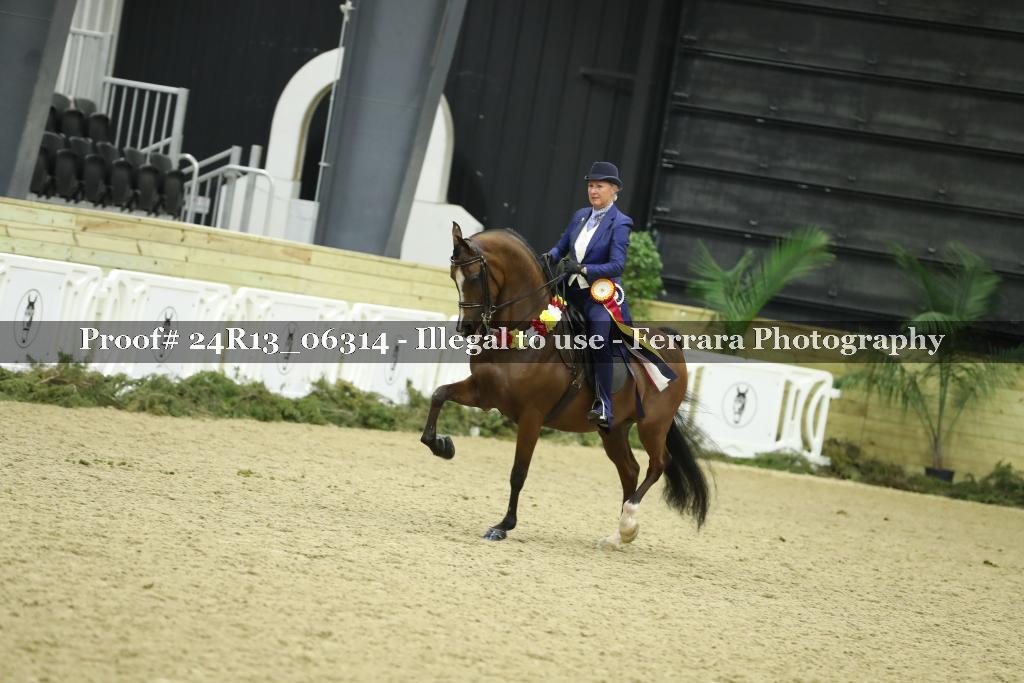 Proof Number 24R13_06314