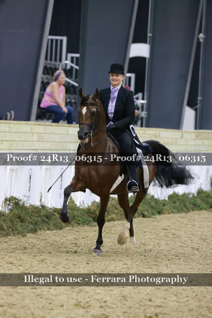 Proof Number 24R13_06315