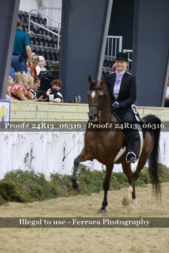 Proof Number 24R13_06316