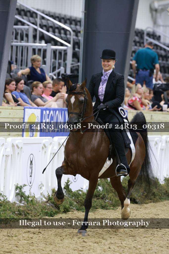 Proof Number 24R13_06318