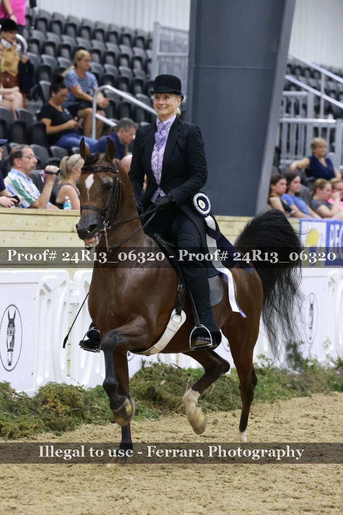 Proof Number 24R13_06320