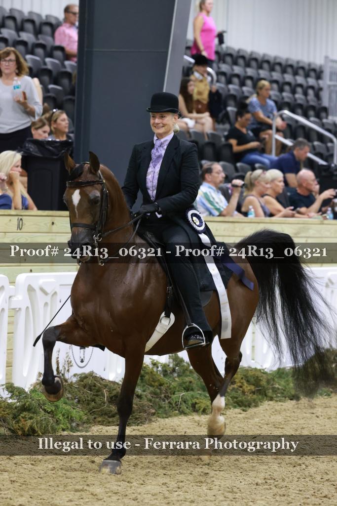 Proof Number 24R13_06321