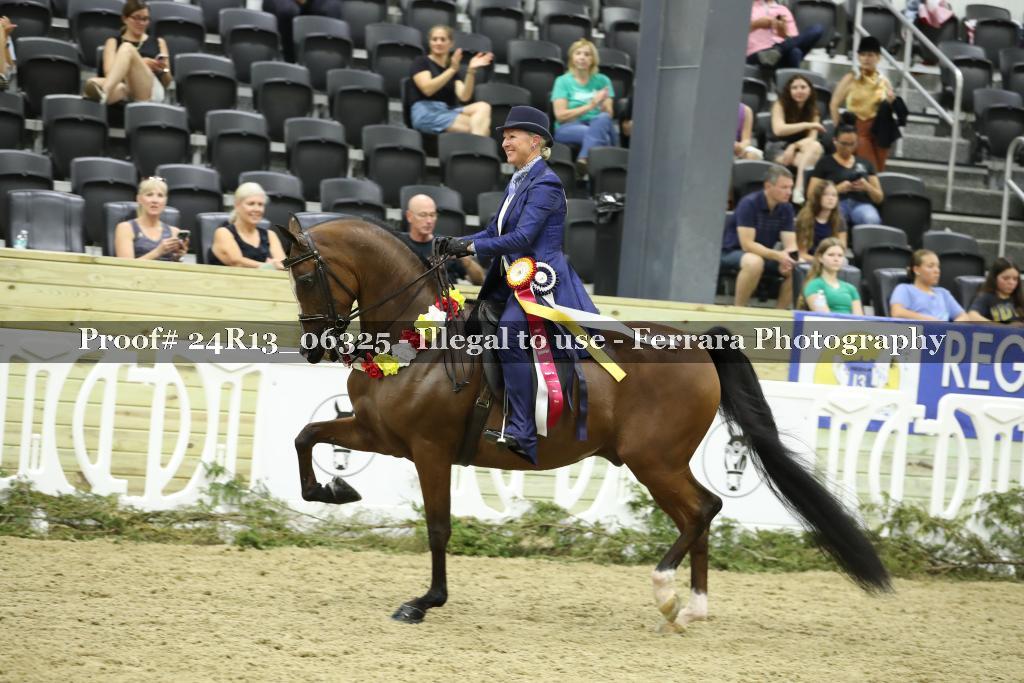 Proof Number 24R13_06325