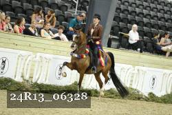 24R13_06328 thumbnail