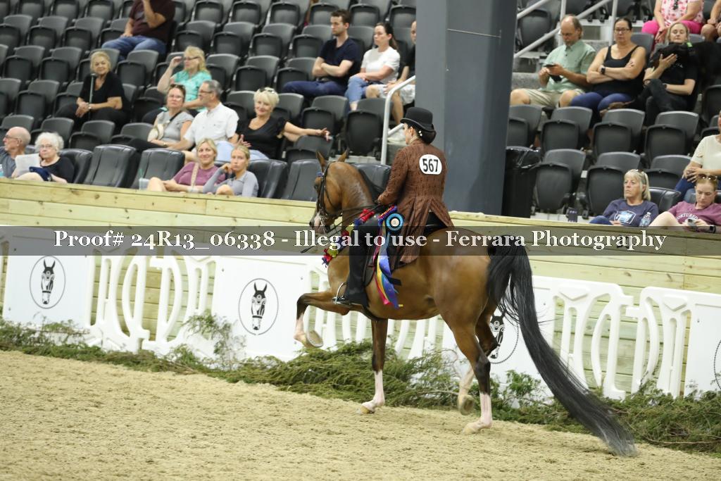 Proof Number 24R13_06338