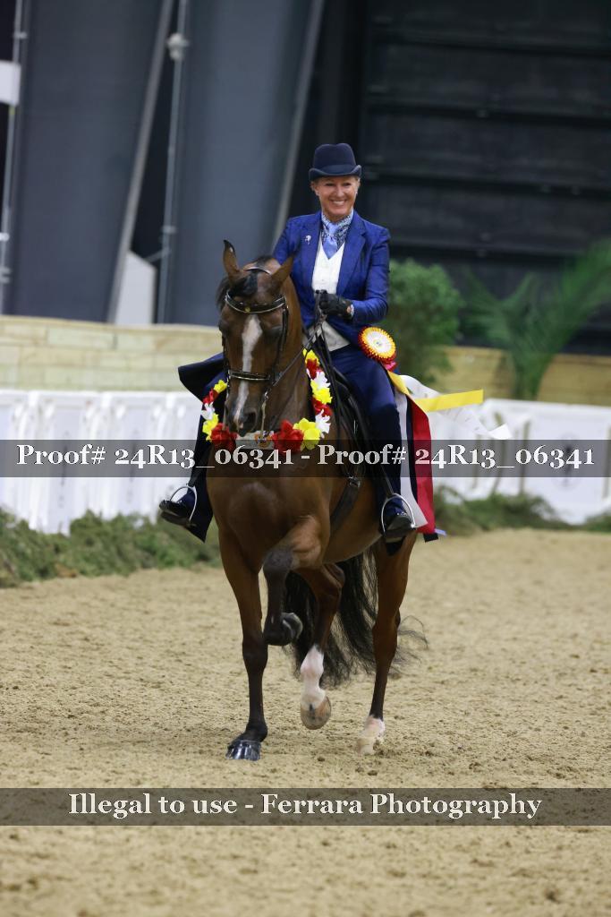 Proof Number 24R13_06341