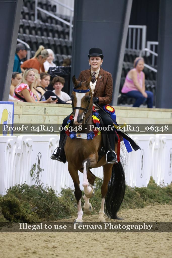 Proof Number 24R13_06348