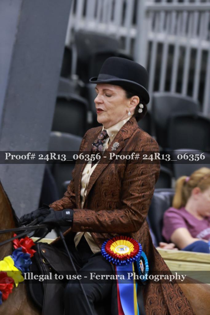 Proof Number 24R13_06356
