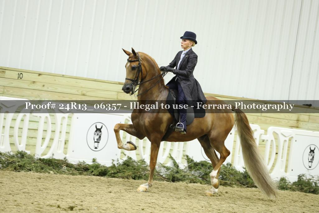 Proof Number 24R13_06357