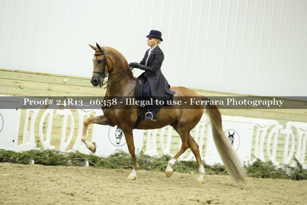 Proof Number 24R13_06358