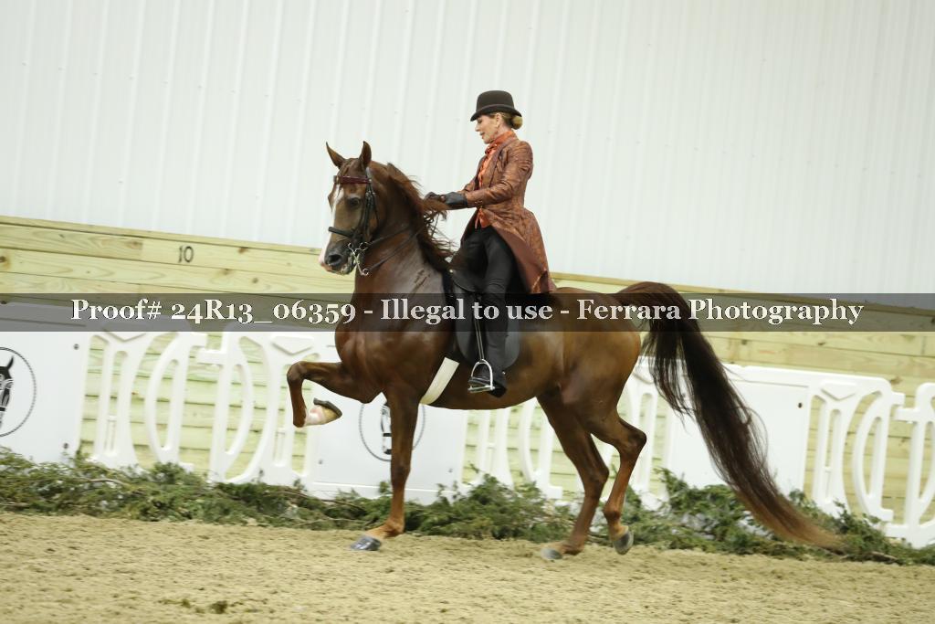 Proof Number 24R13_06359