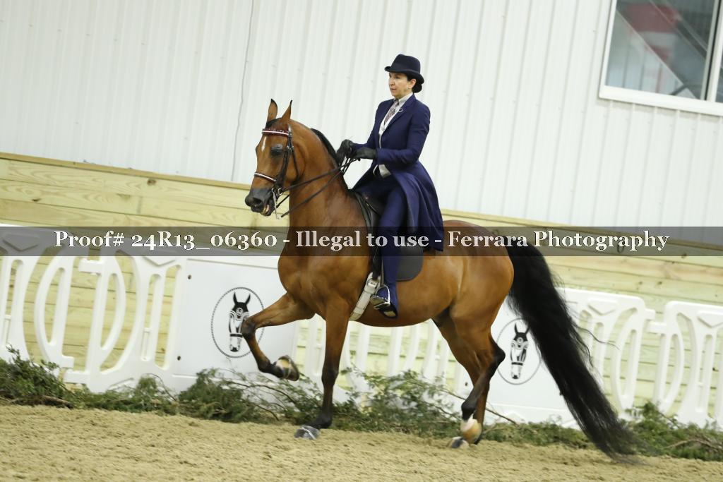 Proof Number 24R13_06360