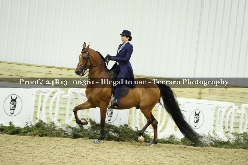 Proof Number 24R13_06361