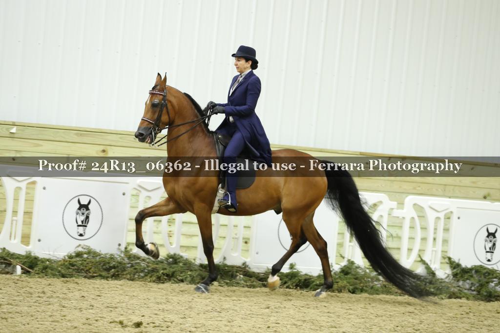 Proof Number 24R13_06362