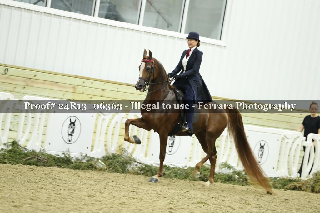 Proof Number 24R13_06363