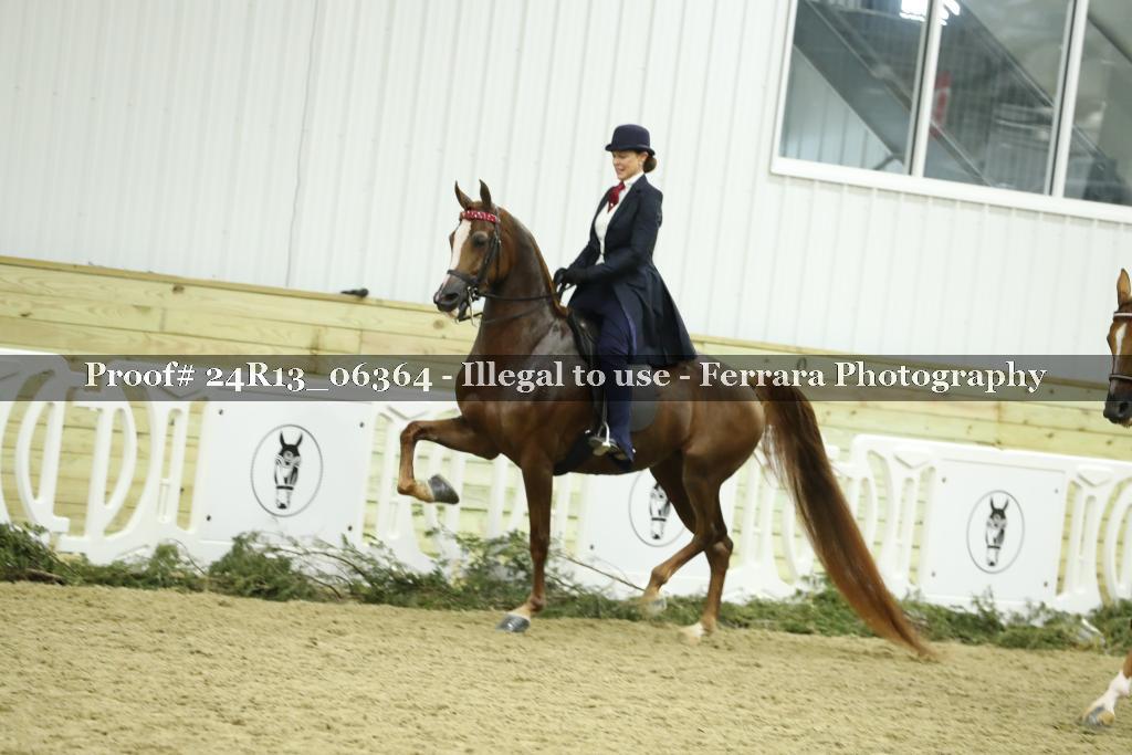 Proof Number 24R13_06364