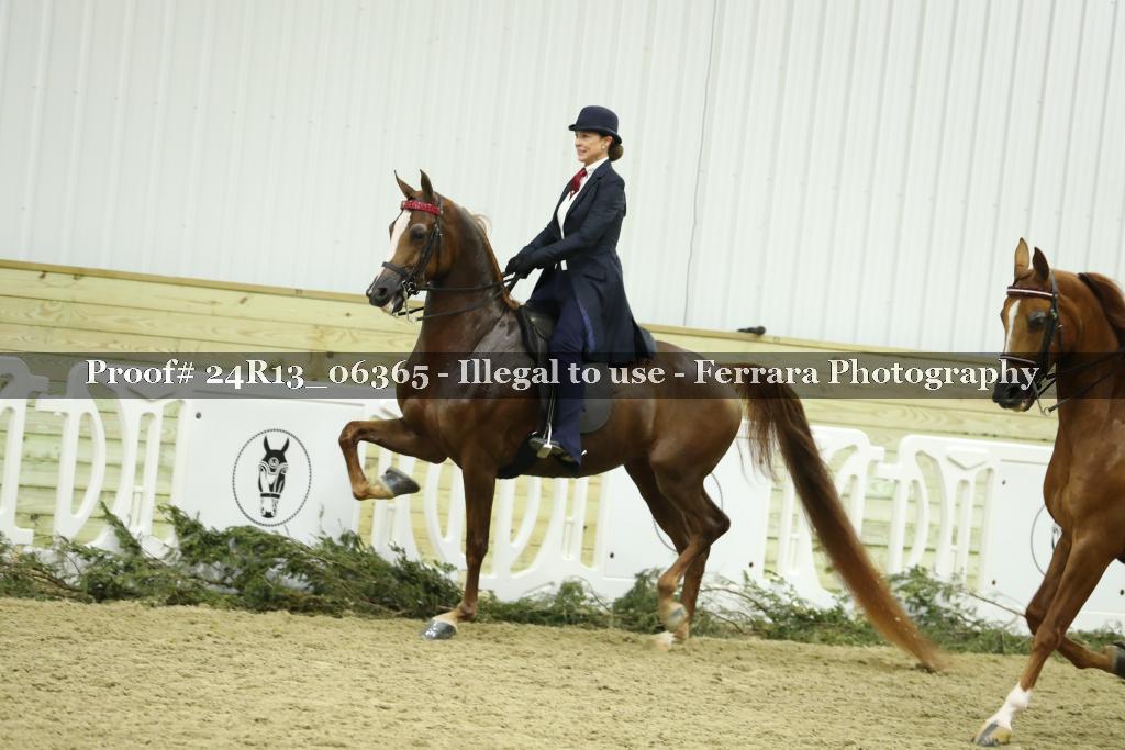 Proof Number 24R13_06365