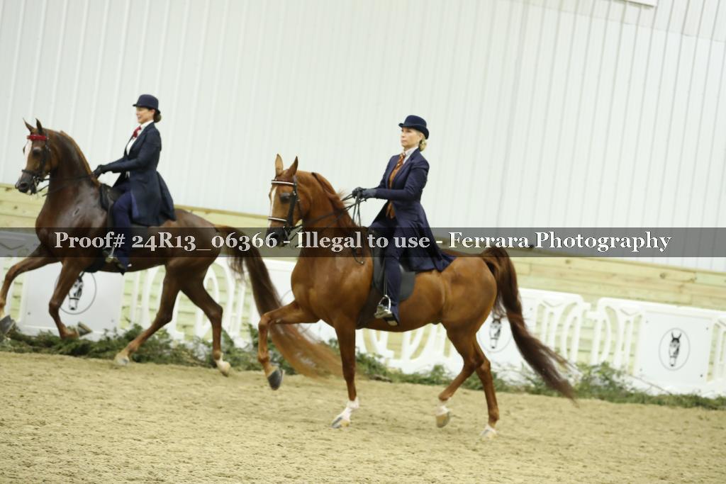 Proof Number 24R13_06366
