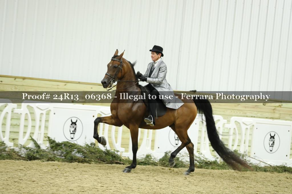 Proof Number 24R13_06368