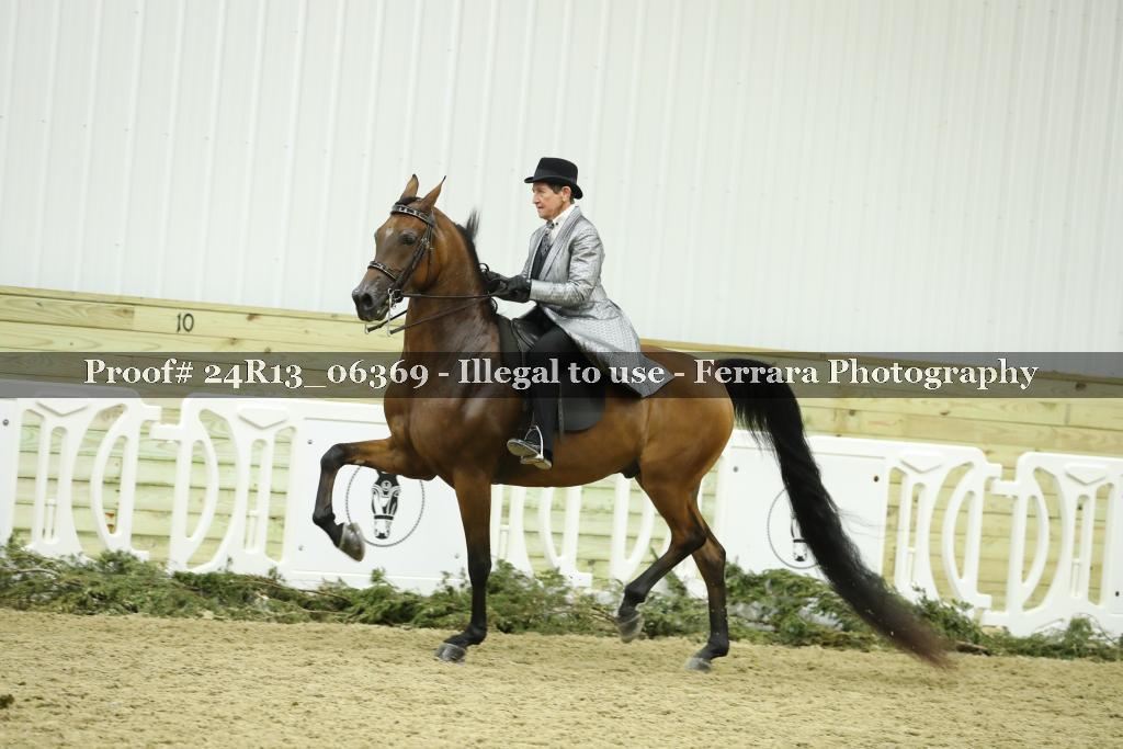 Proof Number 24R13_06369