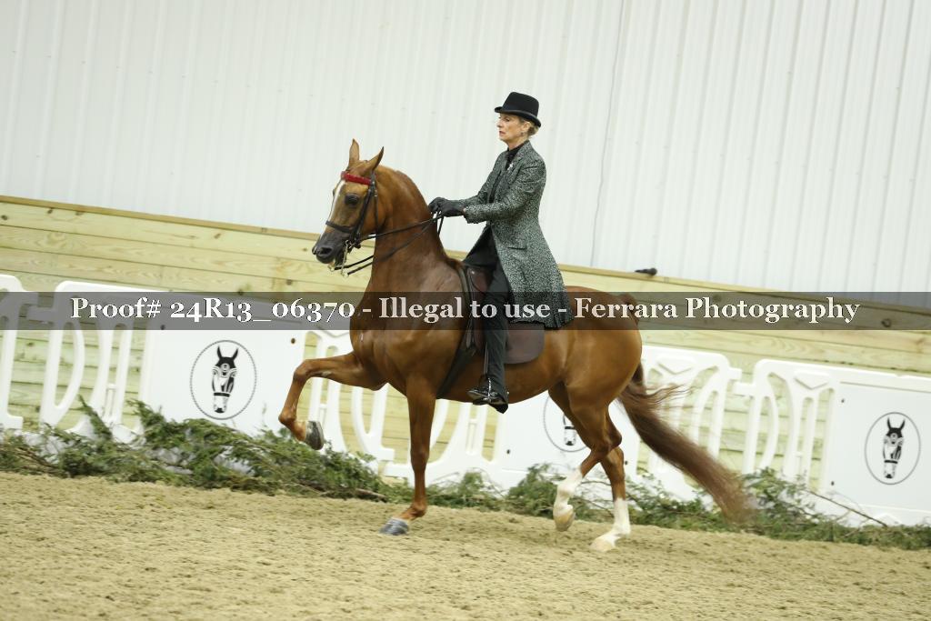 Proof Number 24R13_06370