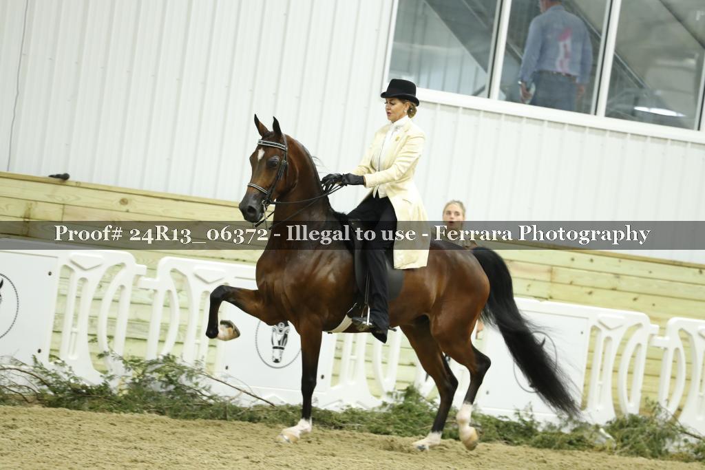 Proof Number 24R13_06372