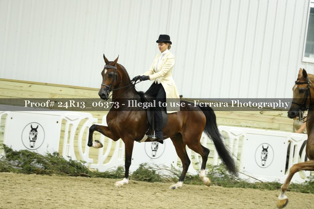 Proof Number 24R13_06373