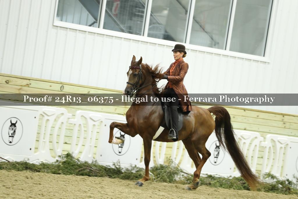 Proof Number 24R13_06375