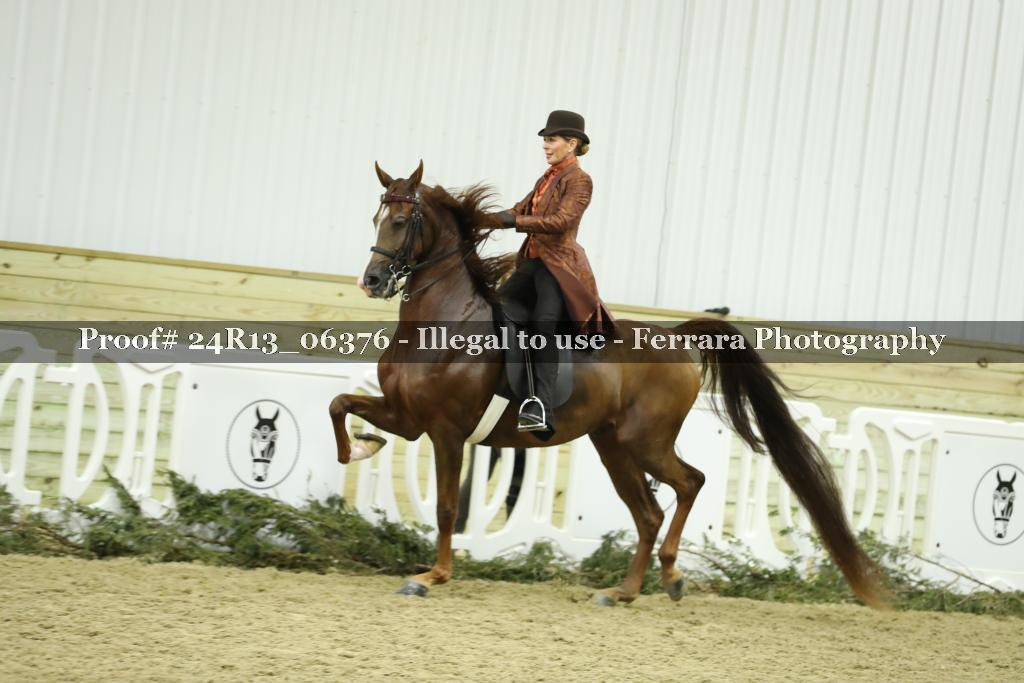 Proof Number 24R13_06376