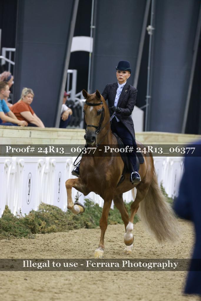 Proof Number 24R13_06377