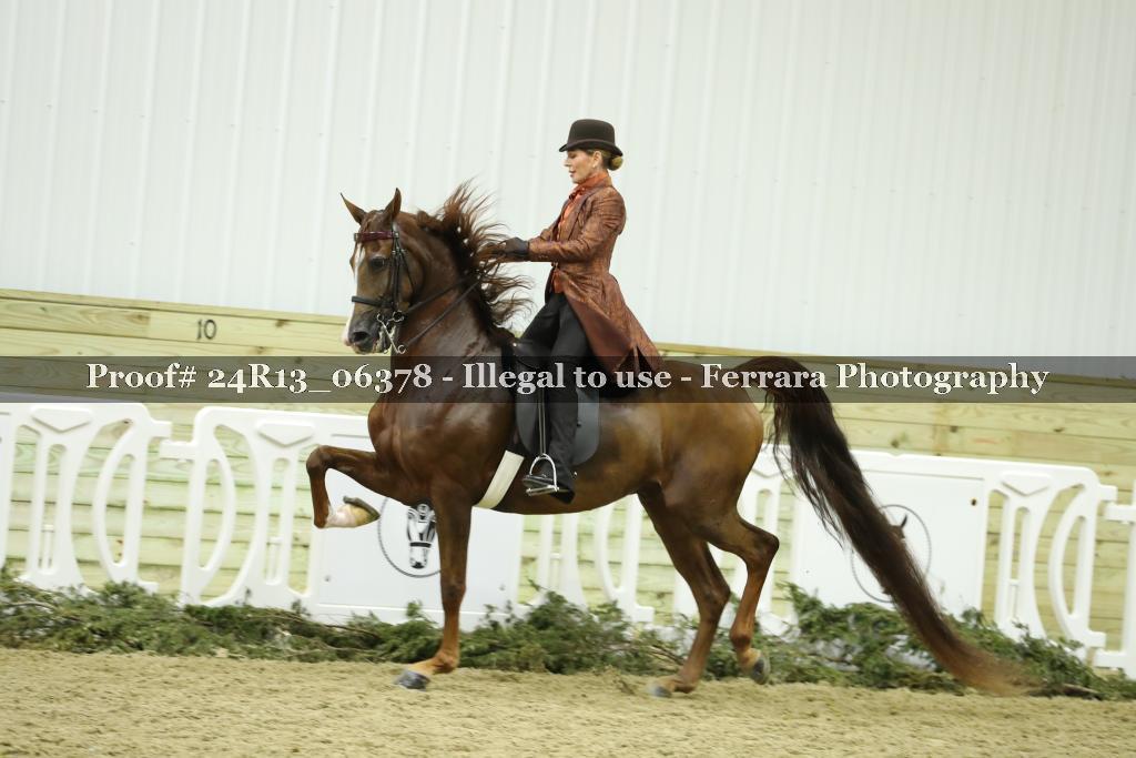 Proof Number 24R13_06378