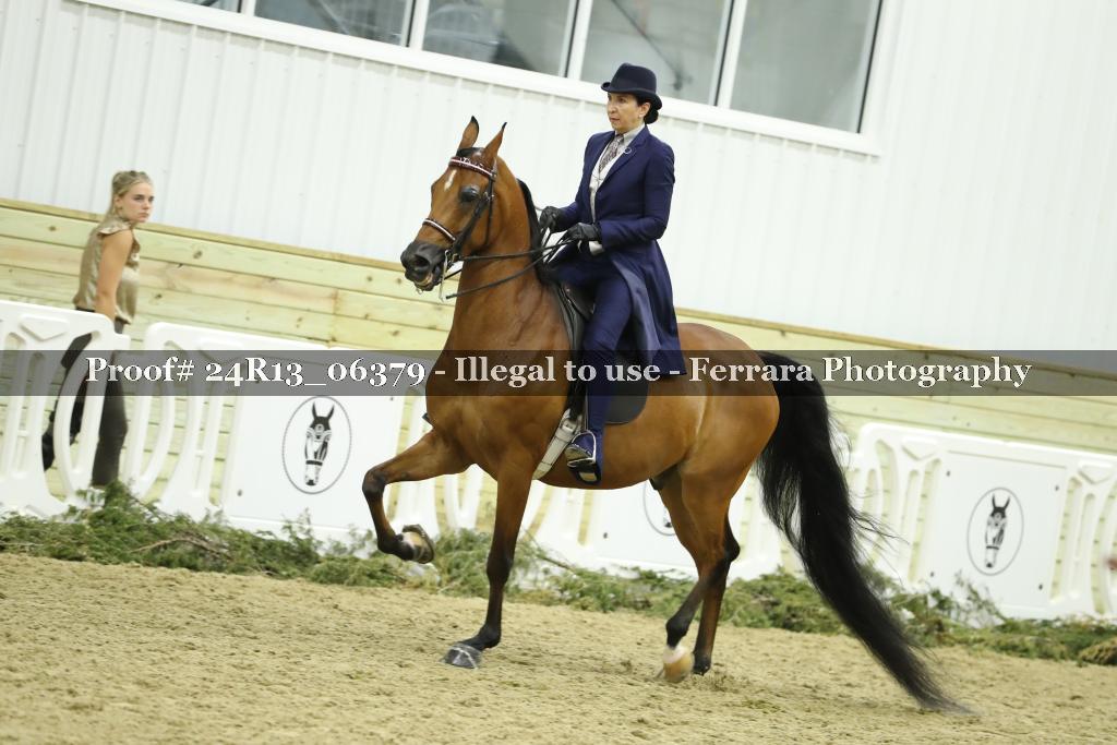 Proof Number 24R13_06379