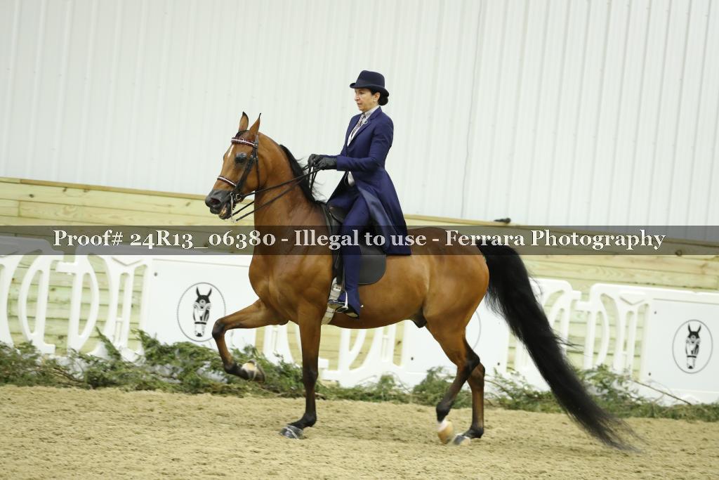 Proof Number 24R13_06380