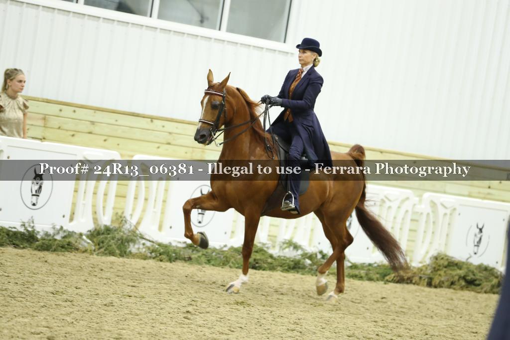 Proof Number 24R13_06381