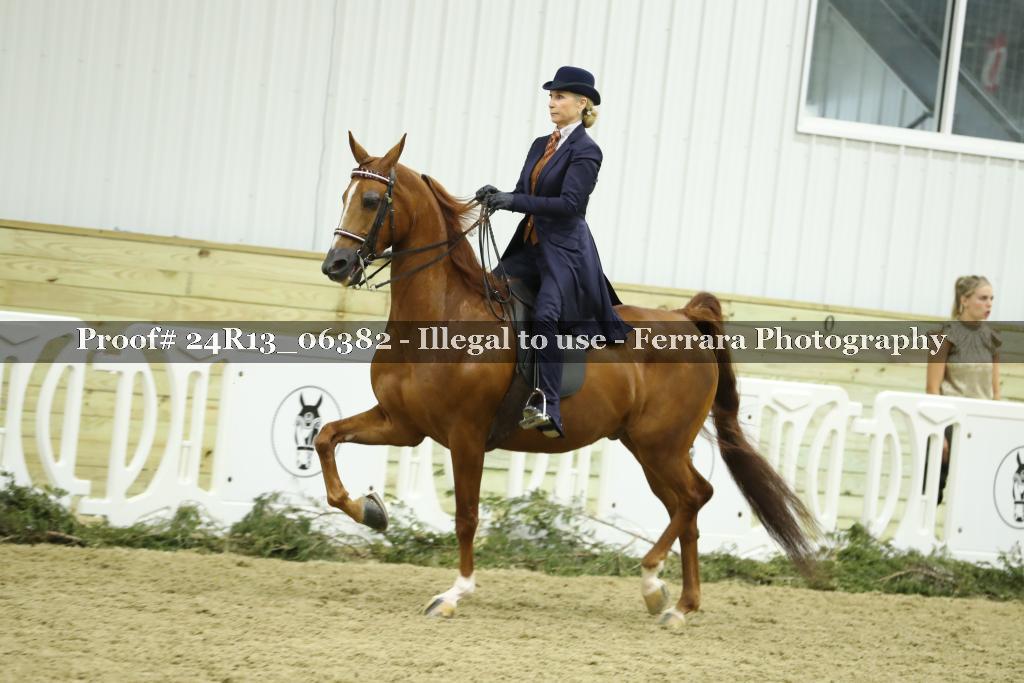 Proof Number 24R13_06382