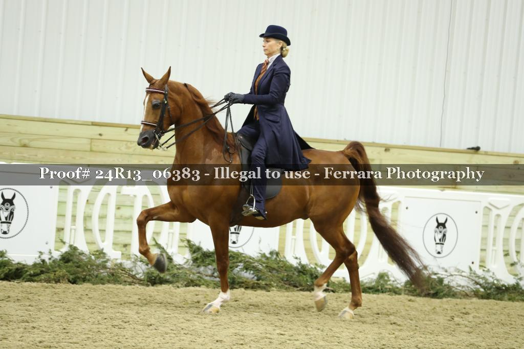 Proof Number 24R13_06383